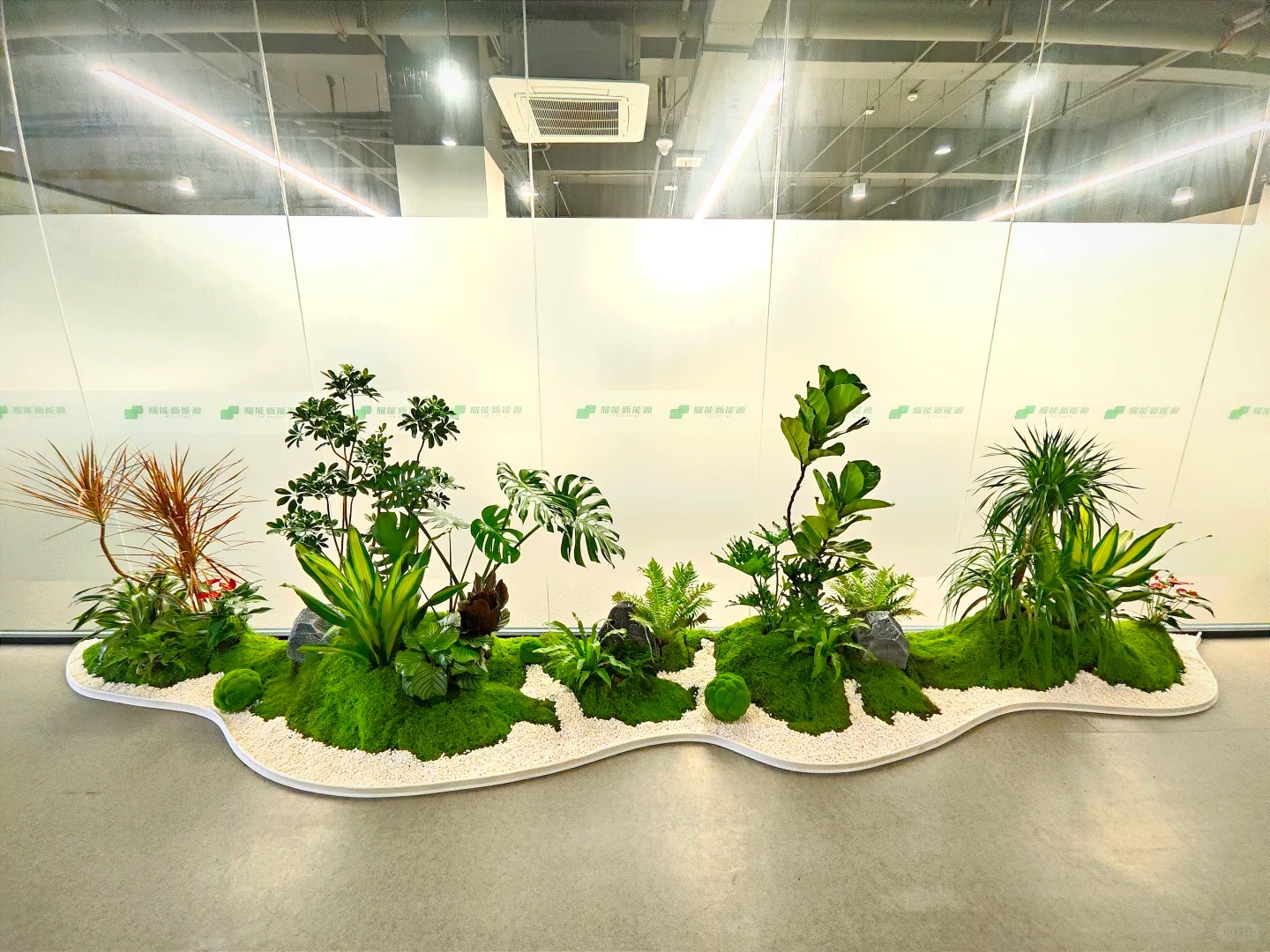 镇海绿化修剪，以实惠之价，还你满园清新！