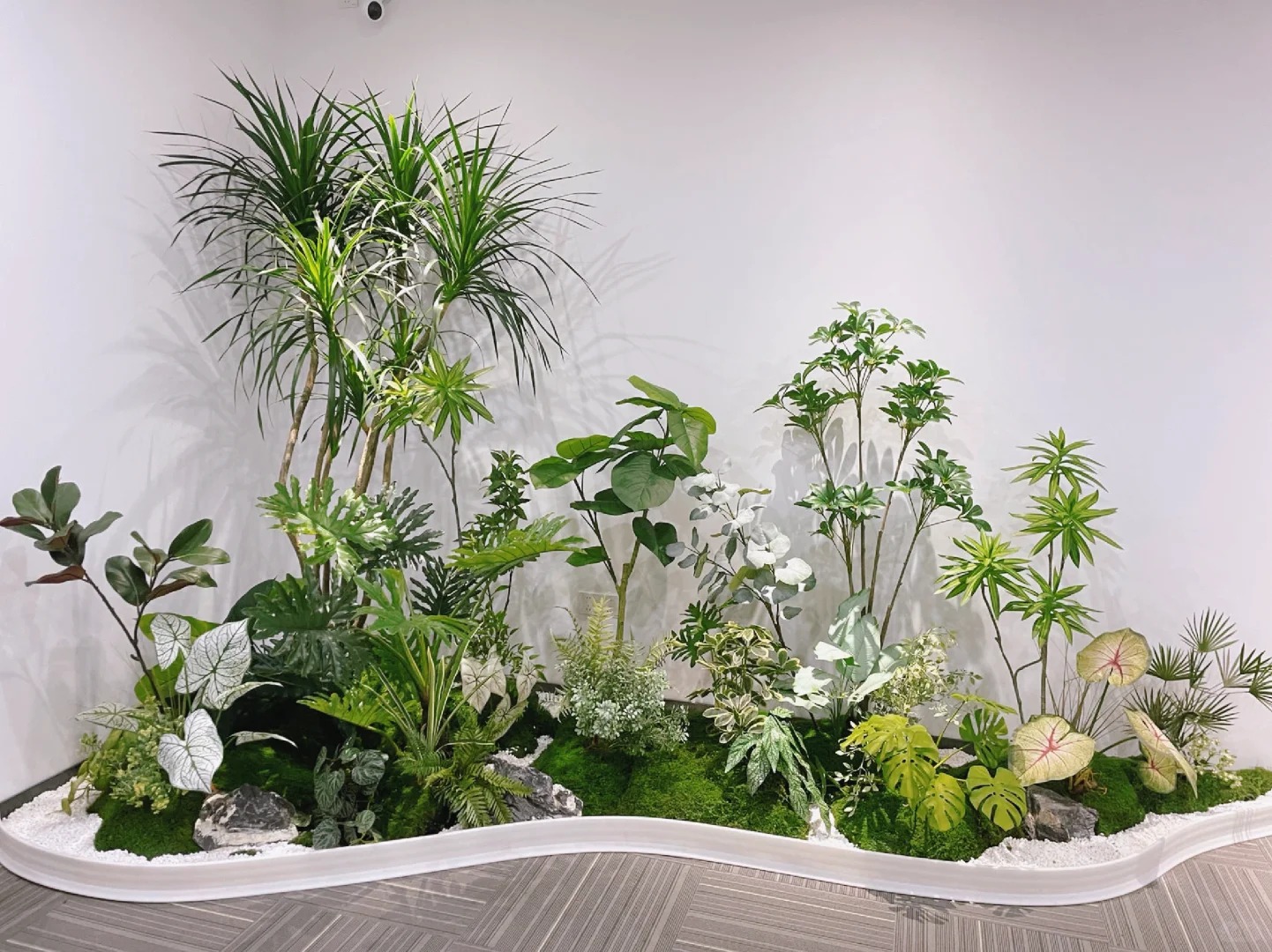 寻找江北花卉租赁好选择，这家不容错过！