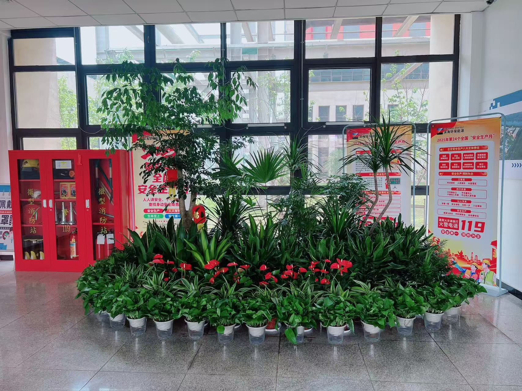 宁波镇海绿化养护方案，让绿化养护不再难！